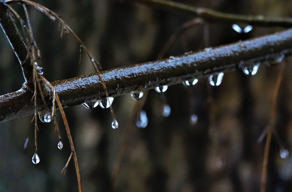 Photograph by jelena konickaja