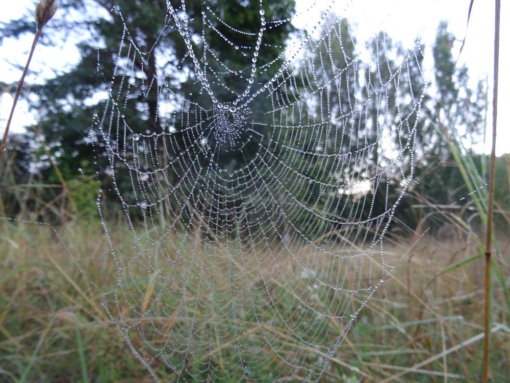 Photograph by jelena konickaja