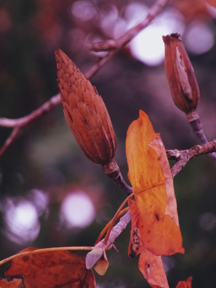 Photograph by Раиса Николаева