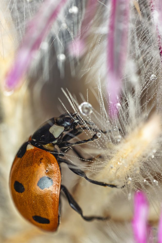 Photograph by Андрей Шабанов