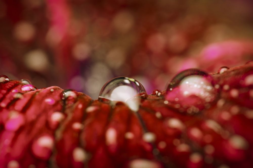 Photograph by Андрей Шабанов