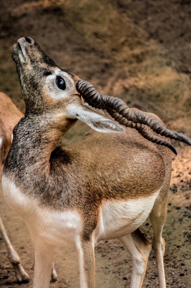 Photograph by Ayush Tripathi