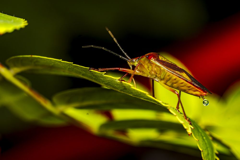 Photograph by Андрей Шабанов