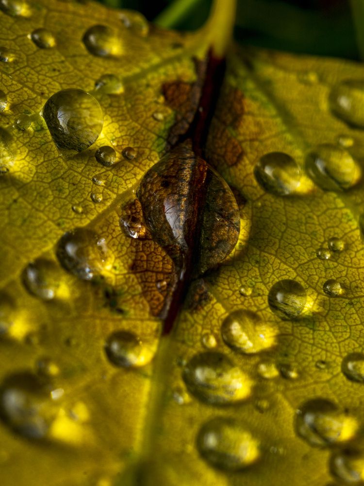 Photograph by Андрей Шабанов