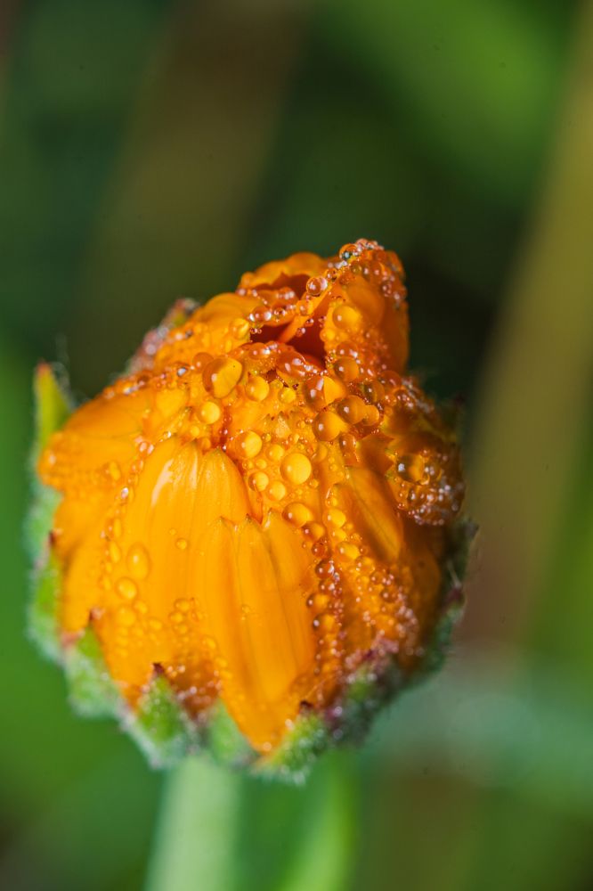 Photograph by Андрей Шабанов