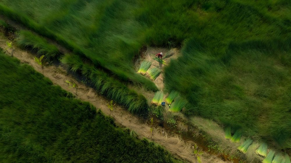 Photograph by Leduy Mai