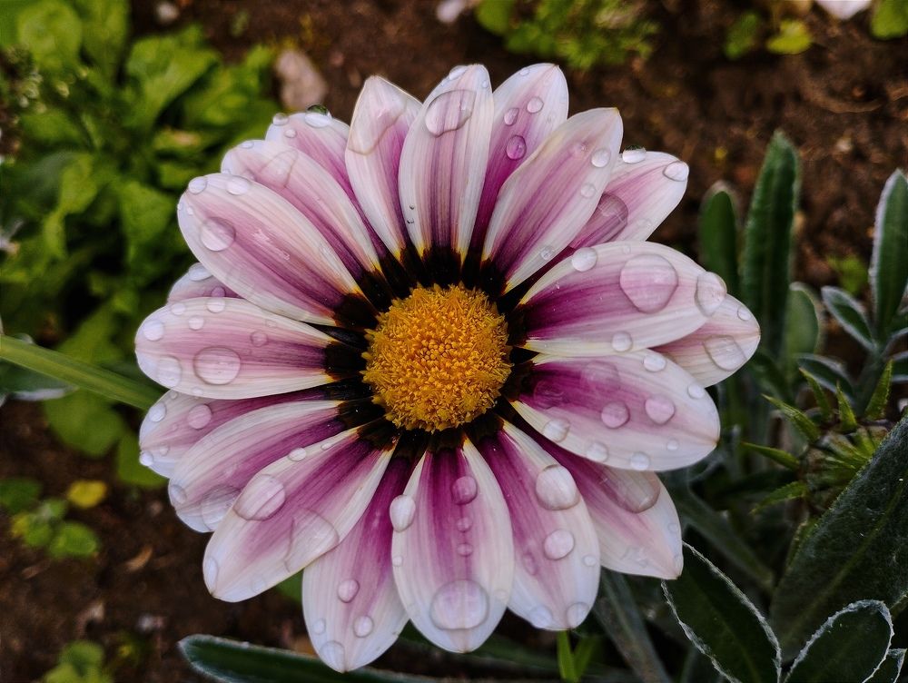 Photograph by Ия Дирко