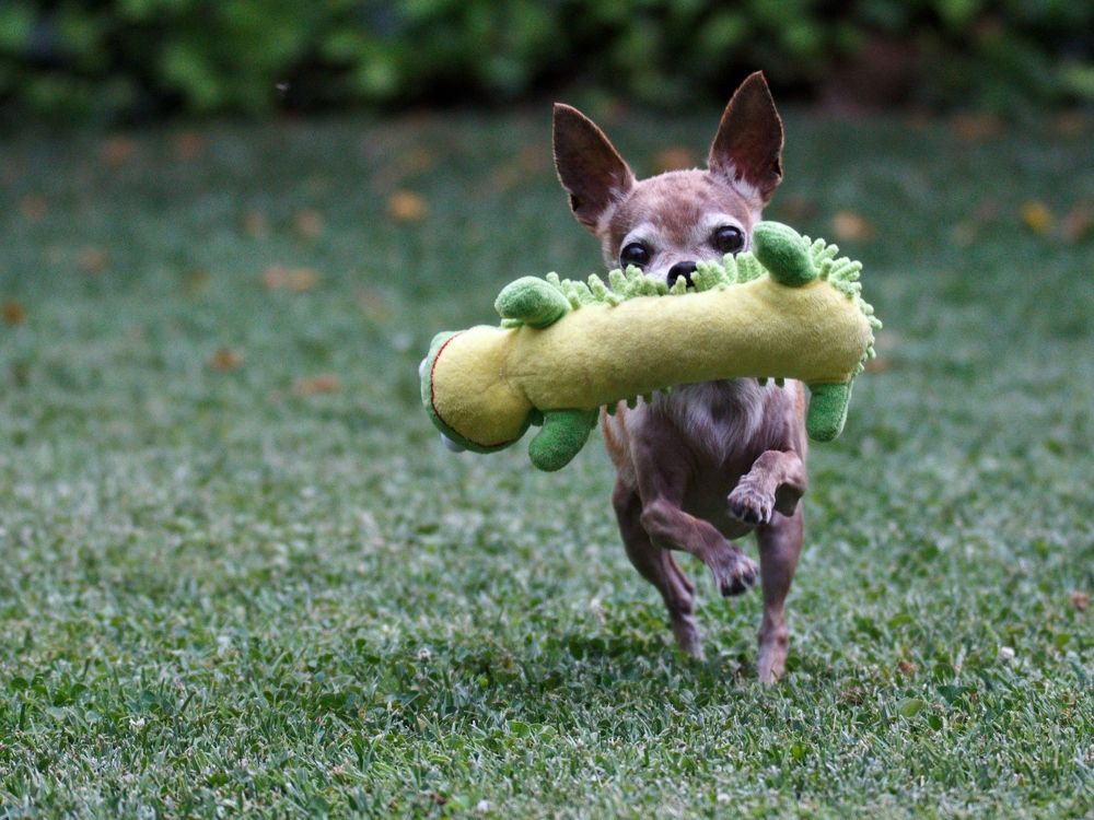 Фотография автора Paula Torrent