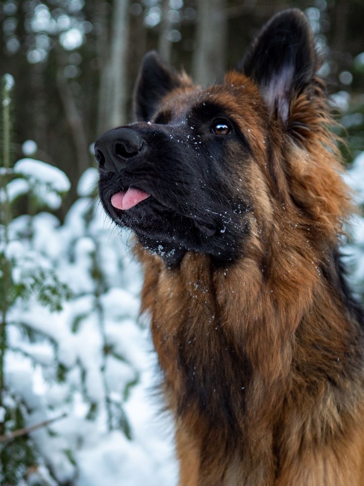 Photograph by Ольга Адольф