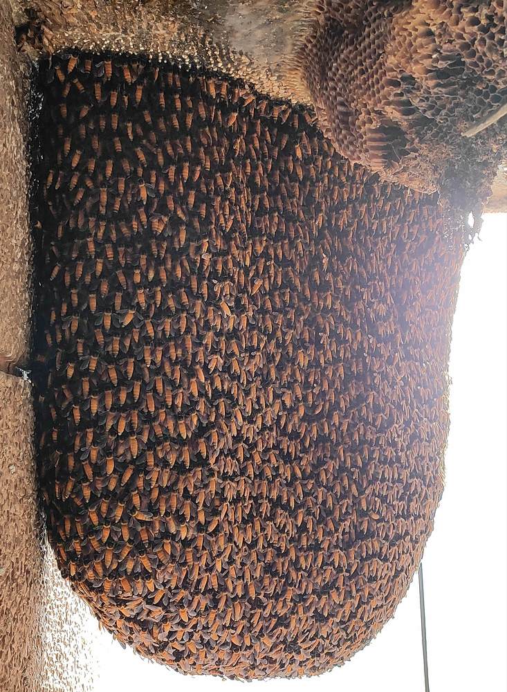 Photograph by Kapil Singh