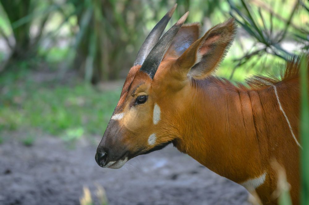 Фотография автора Erik Nelson