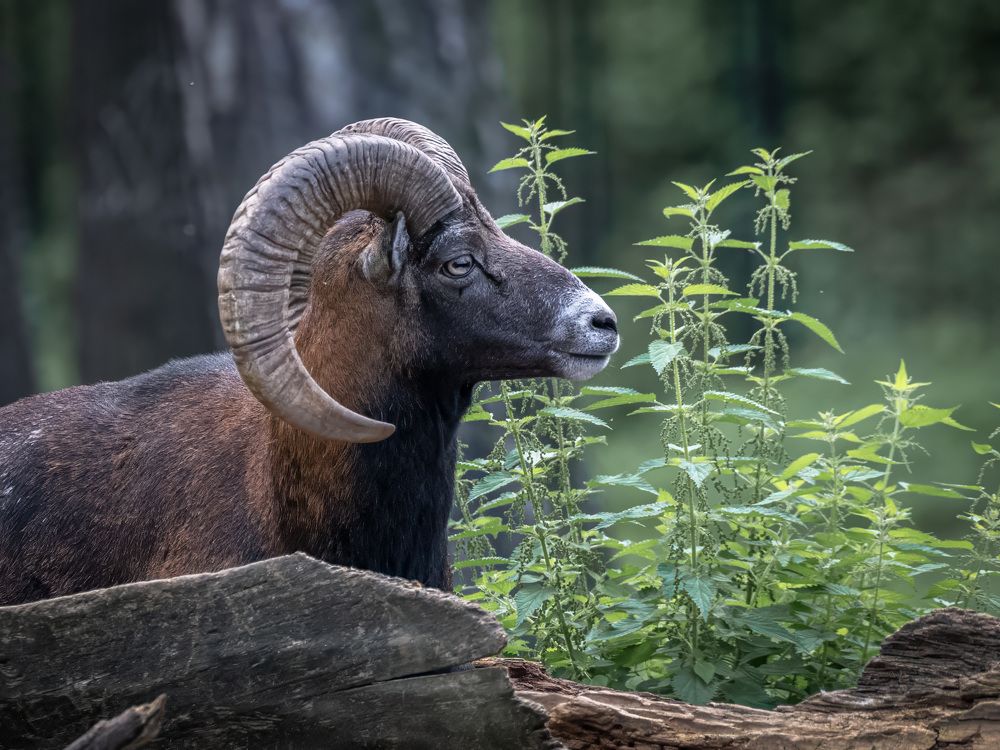 Фотография автора Erik Nelson