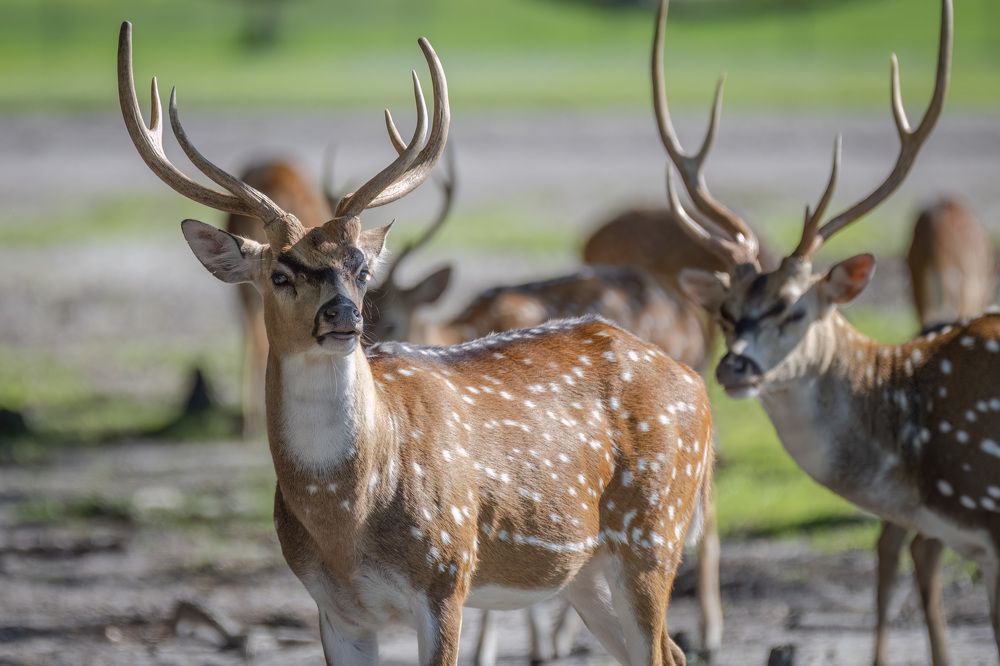 Фотография автора Erik Nelson