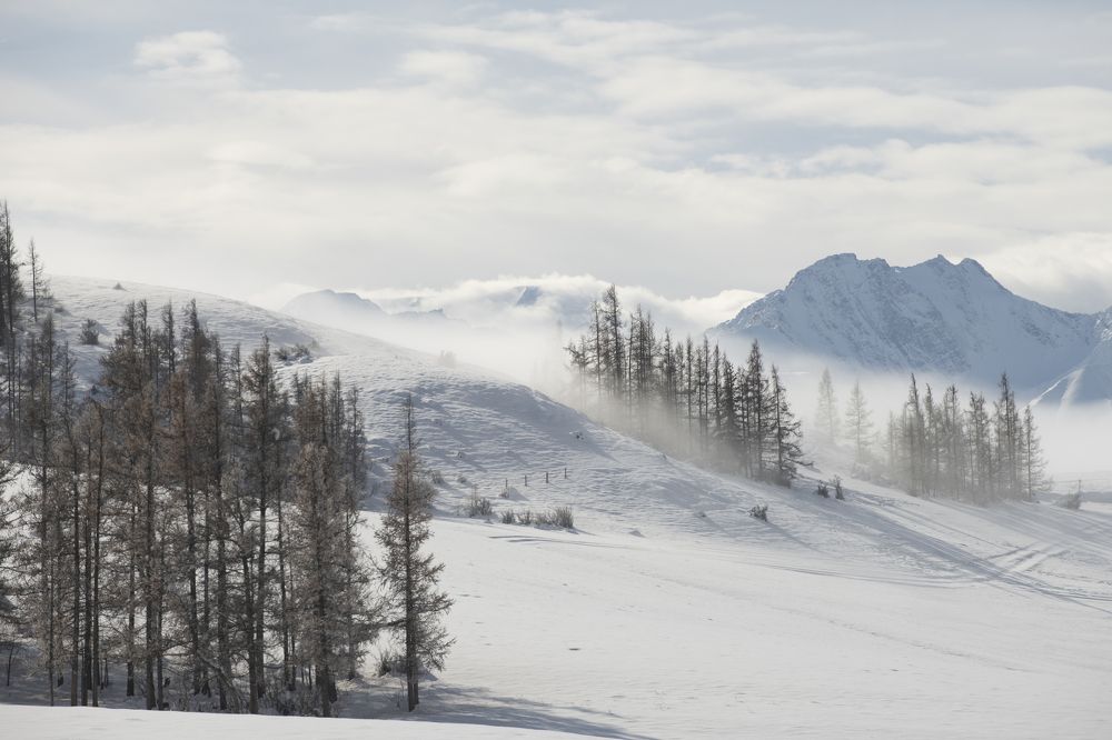 Photograph by Сергей Шерстнев