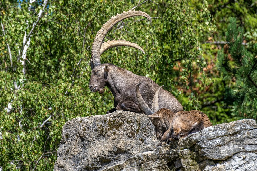 Фотография автора Erik Nelson