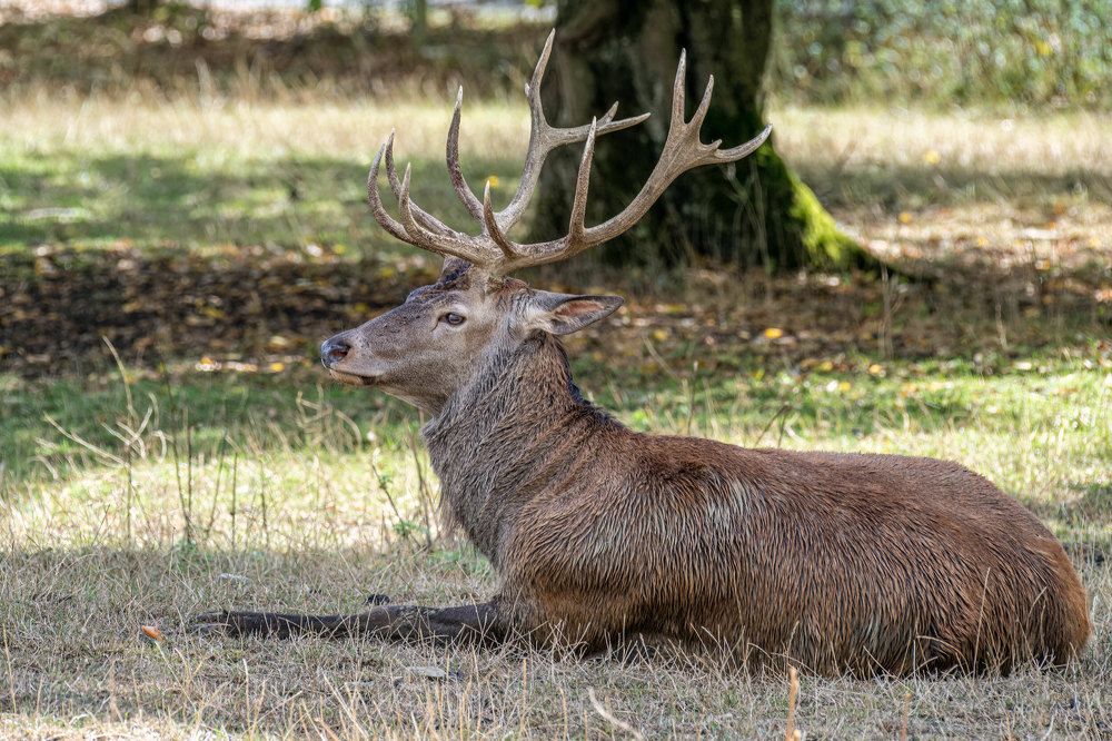 Фотография автора Erik Nelson