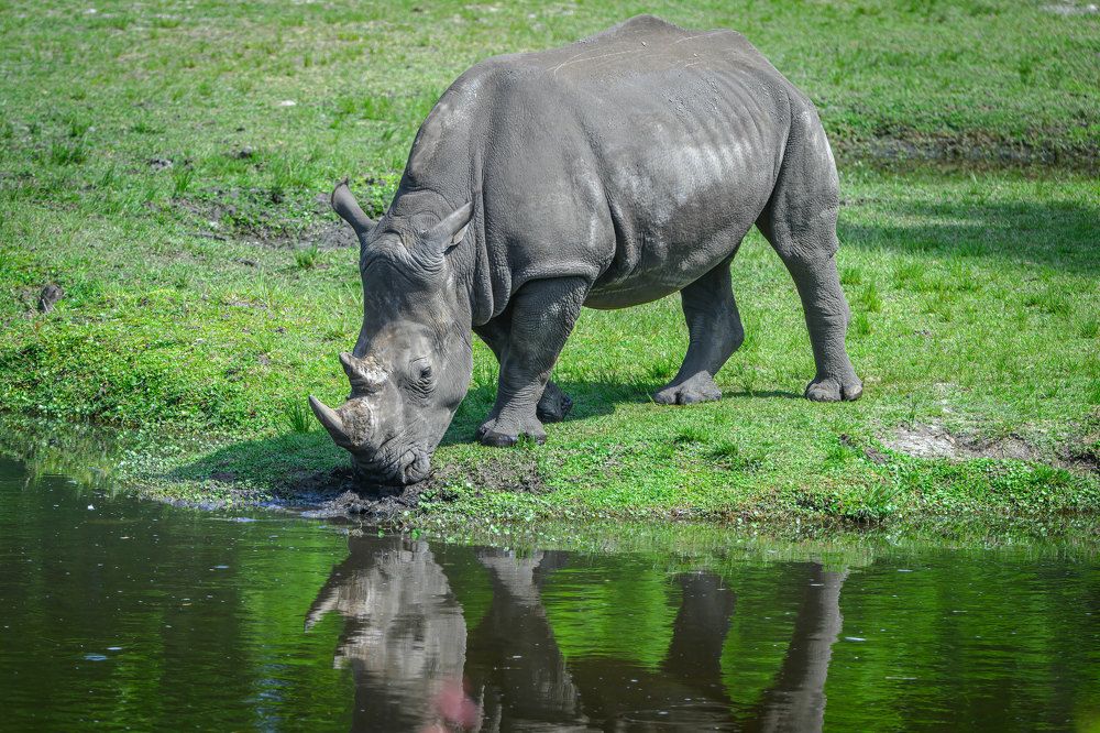 Фотография автора Erik Nelson