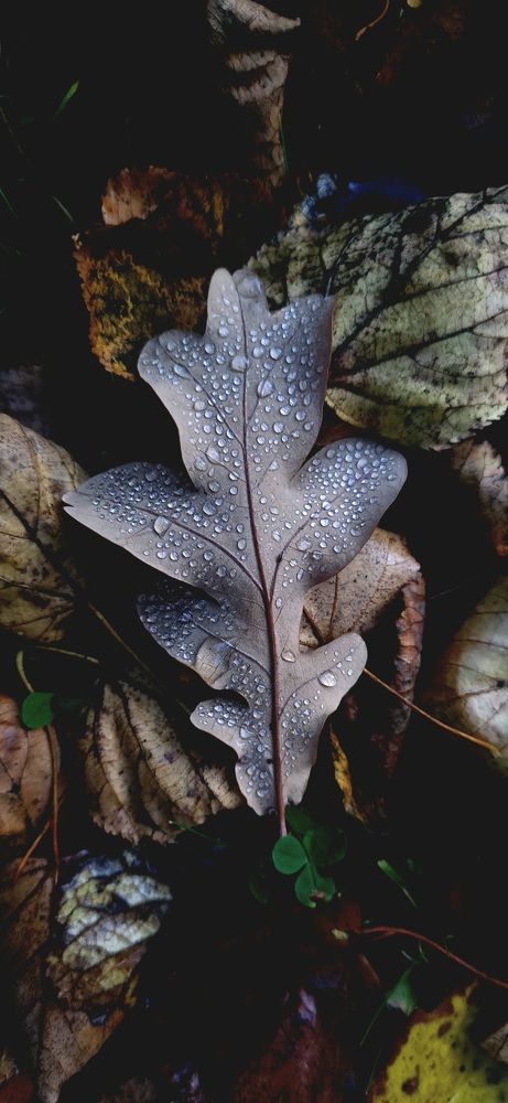 Photograph by Анна Семенова