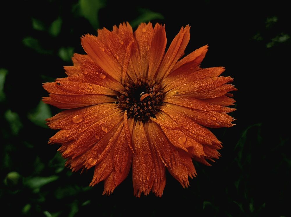 Photograph by Анна Семенова