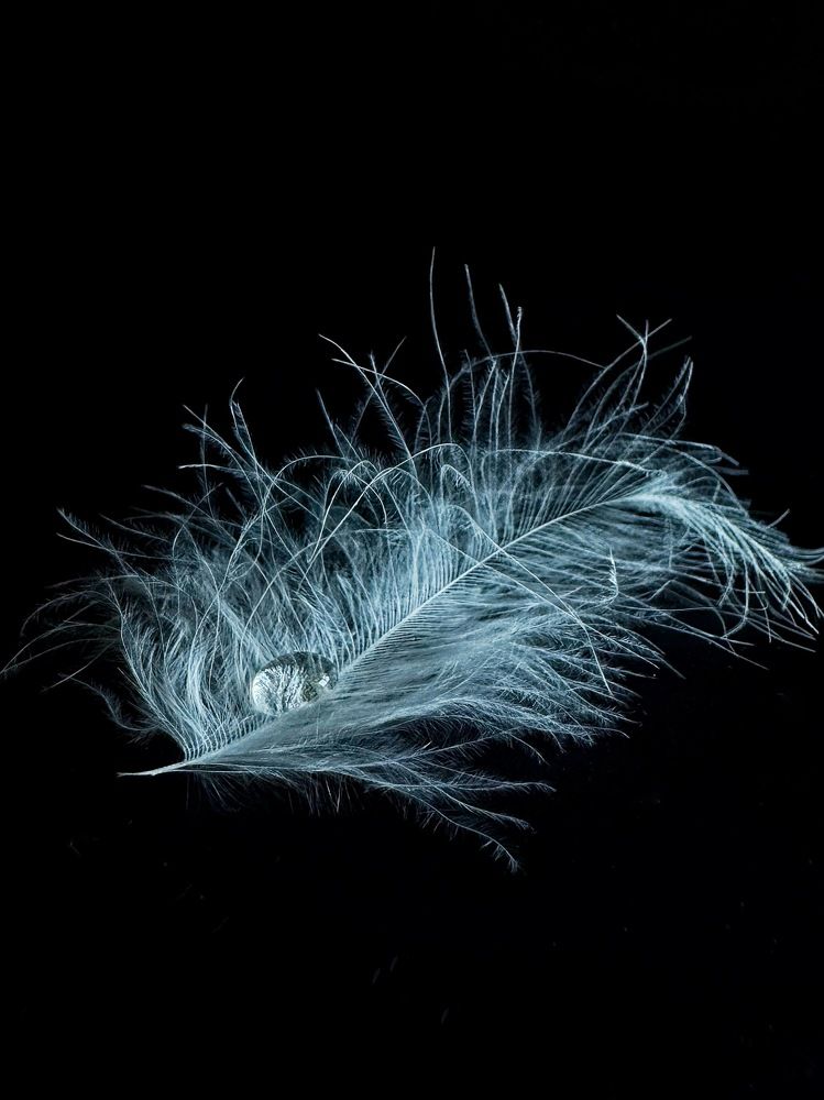 Photograph by Zhanna Kolesnikova