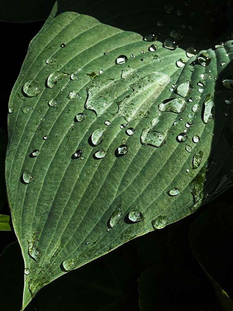 Photograph by Екатерина Анпилова