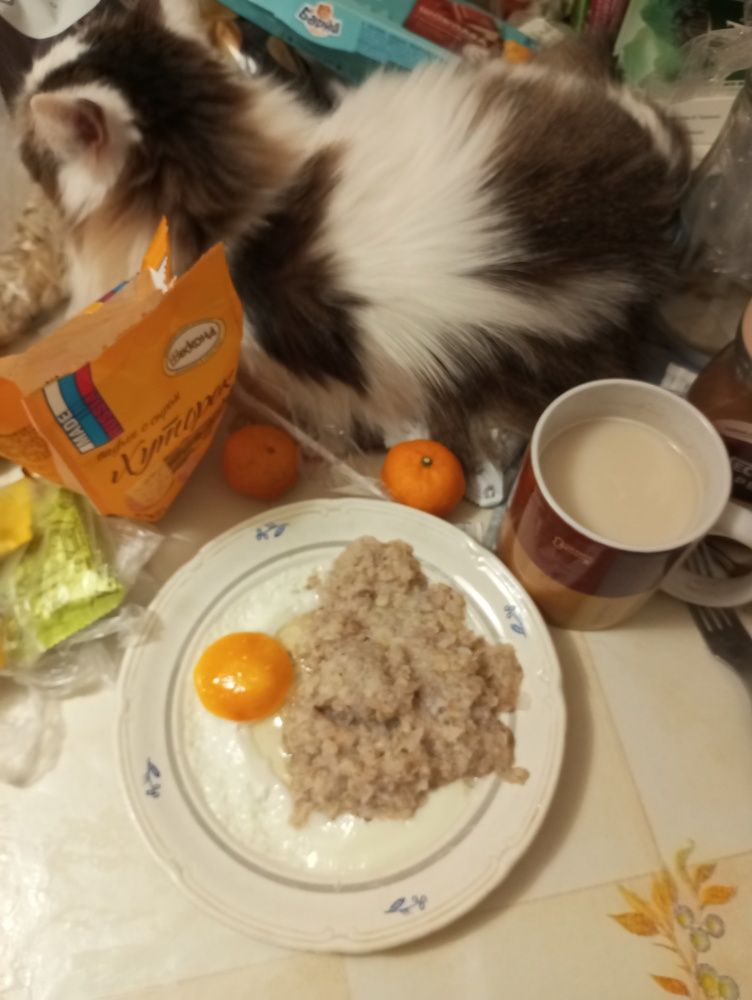 Photograph by Татьяна Кунц