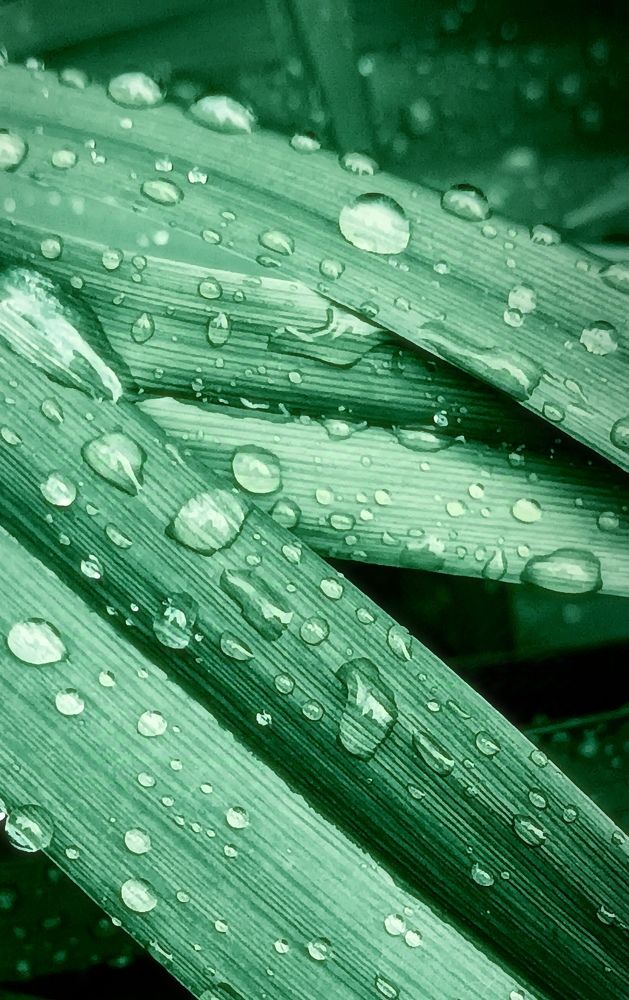 Photograph by Mishel Photographer