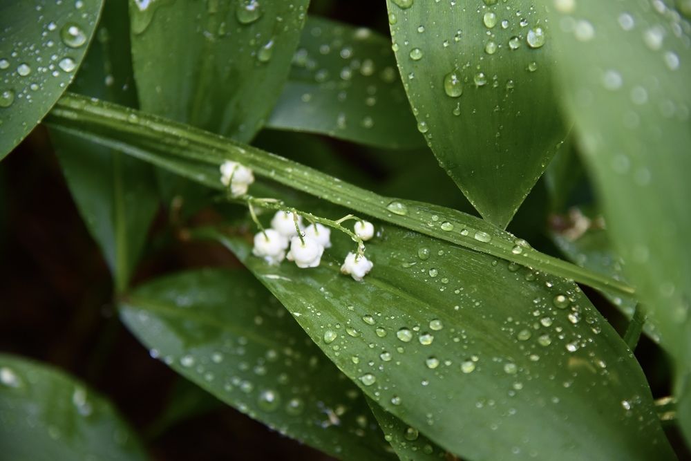 Photograph by Ольга Струкалина
