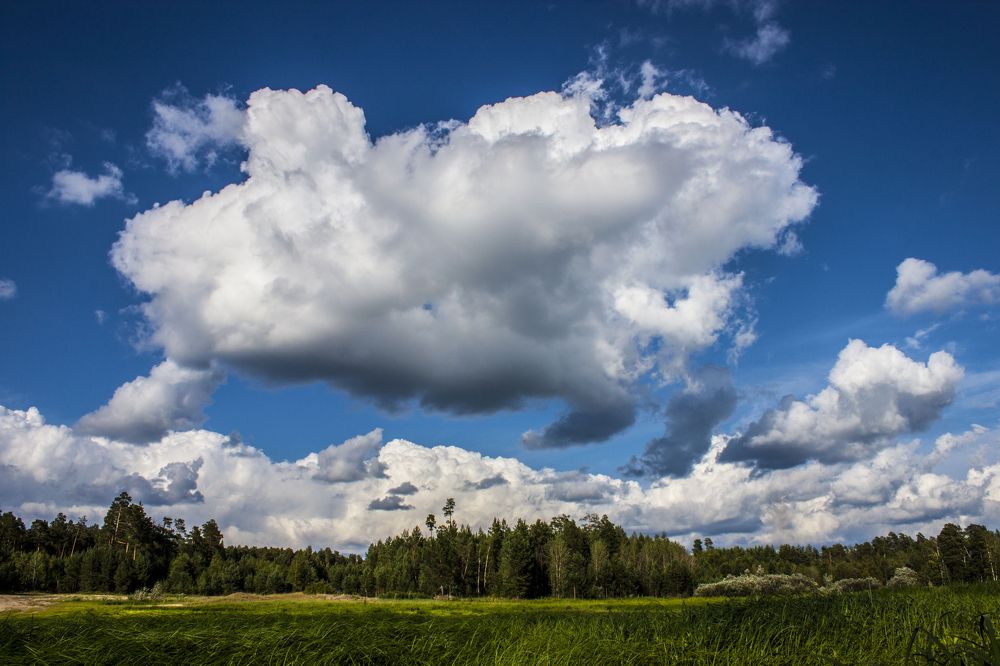 Photograph by Марина Киприна