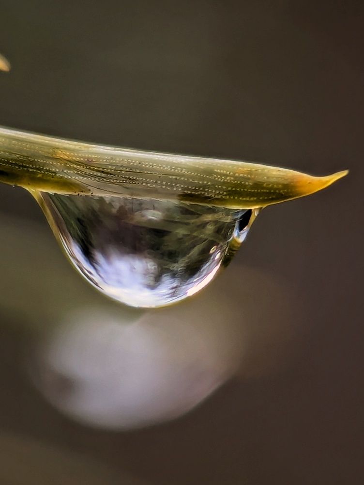 Photograph by Екатерина Колот