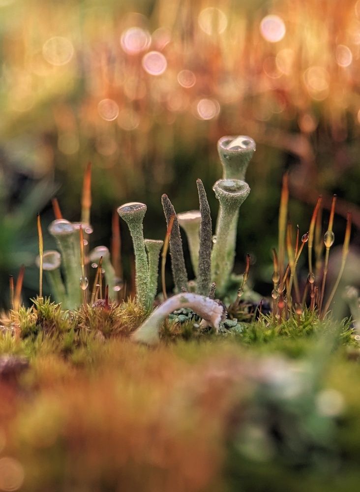 Photograph by Екатерина Колот