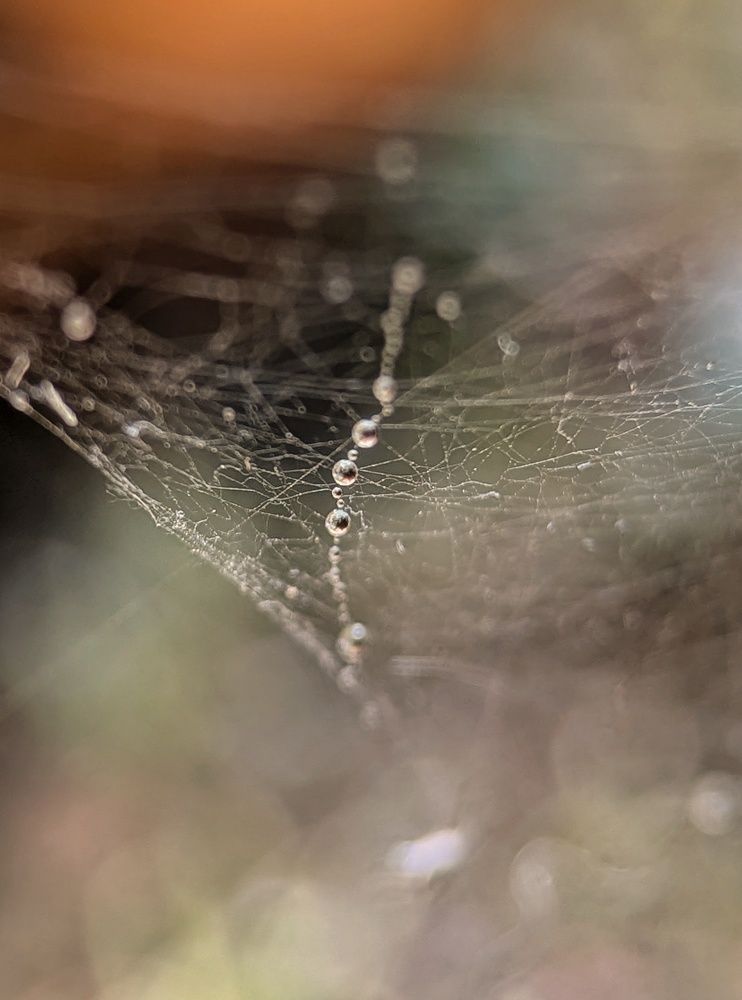 Photograph by Екатерина Колот