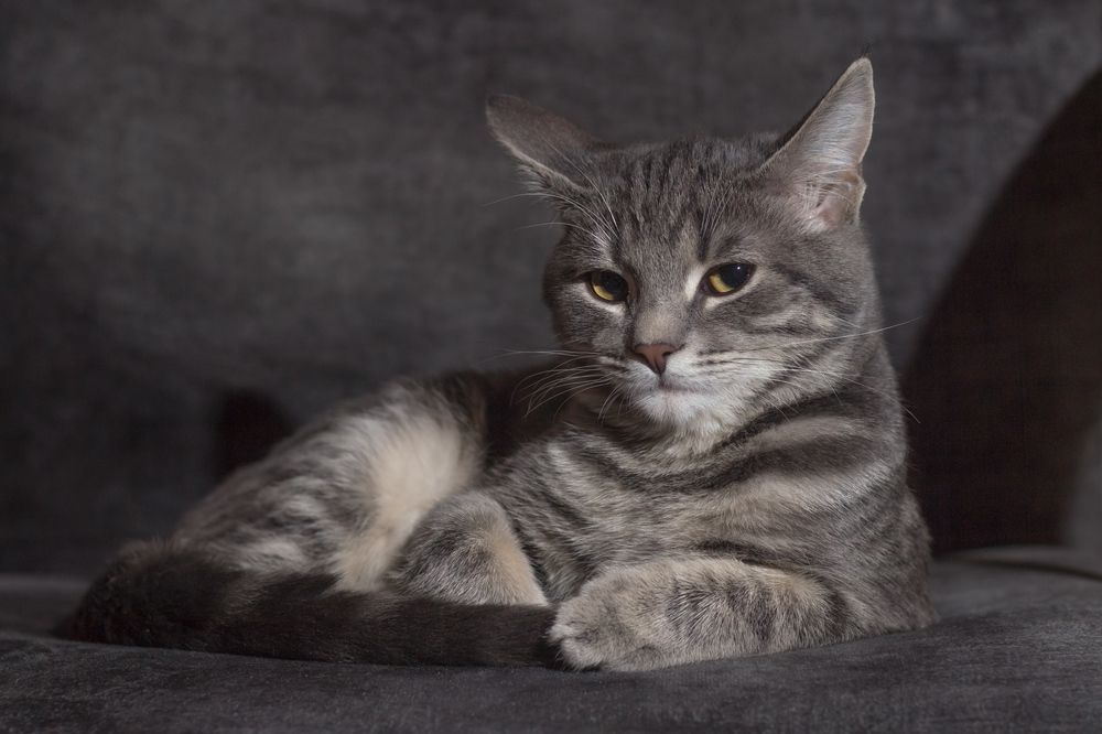 Photograph by Сергей Алексеев