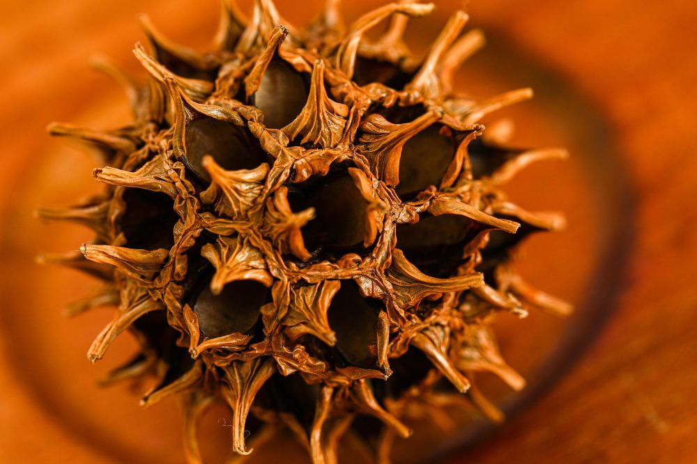 Photograph by Елена Одынец