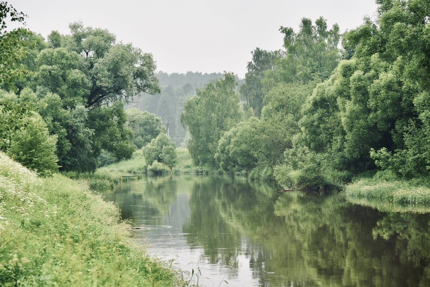 Красавица-река.