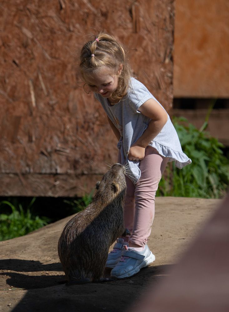 Photograph by Andrey Kul