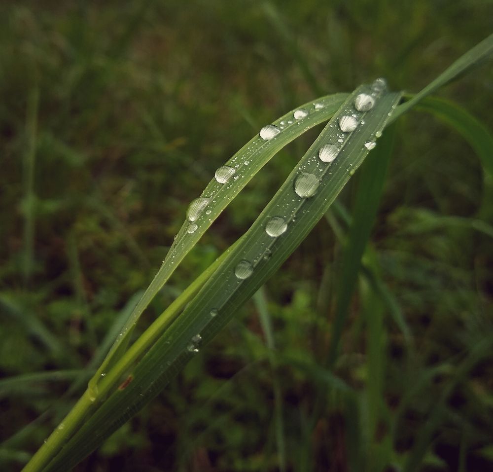 Photograph by Оксана Лоншакова