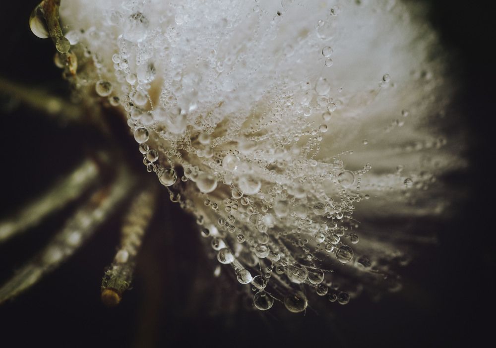 Photograph by Юлия Лушникова