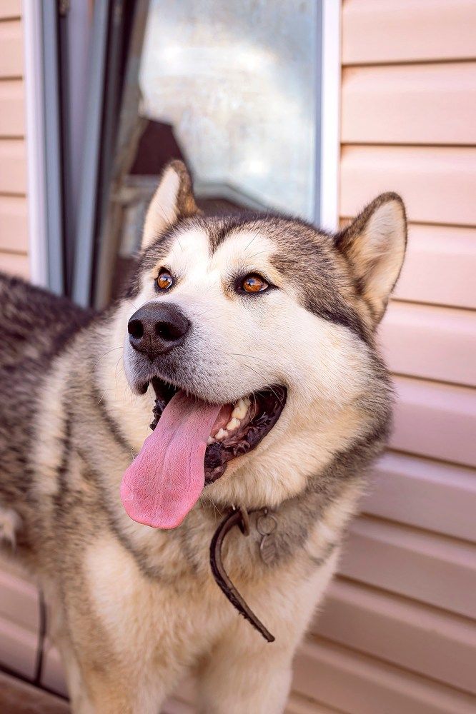 Photograph by Анастасия Белякова