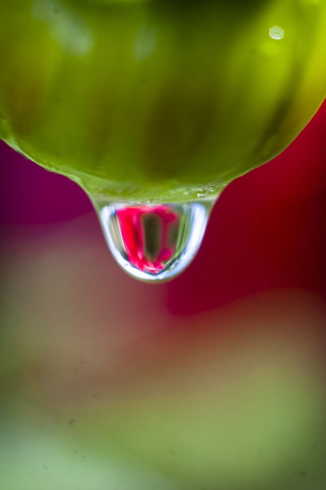 Photograph by Панюшкин Андрей