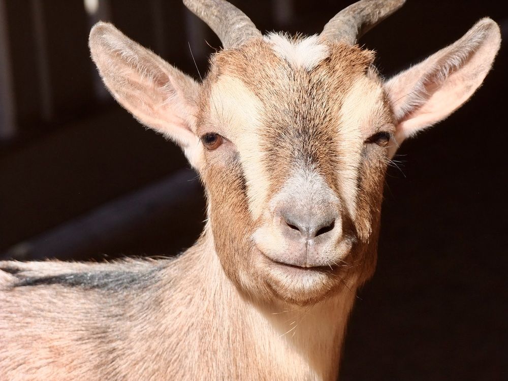 Photograph by Татьяна Шитлина