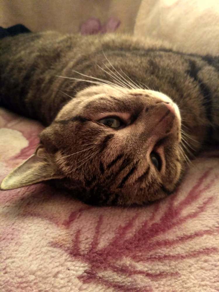 Photograph by Ольга Антохина