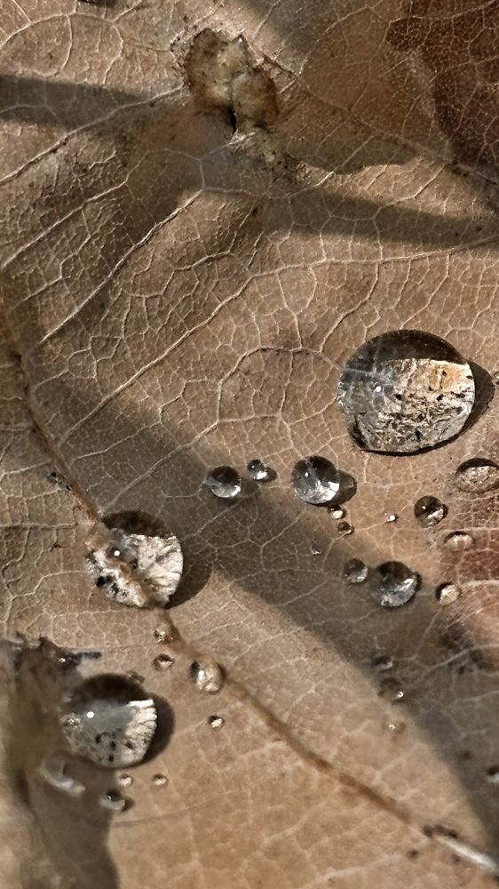 Photograph by Елена Гущина