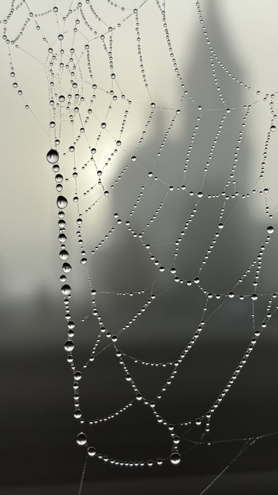 Photograph by Елена Гущина