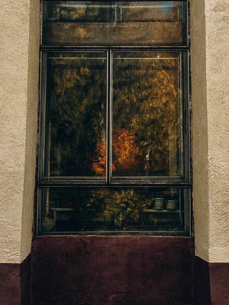 Photograph by Alina Polomoshnova