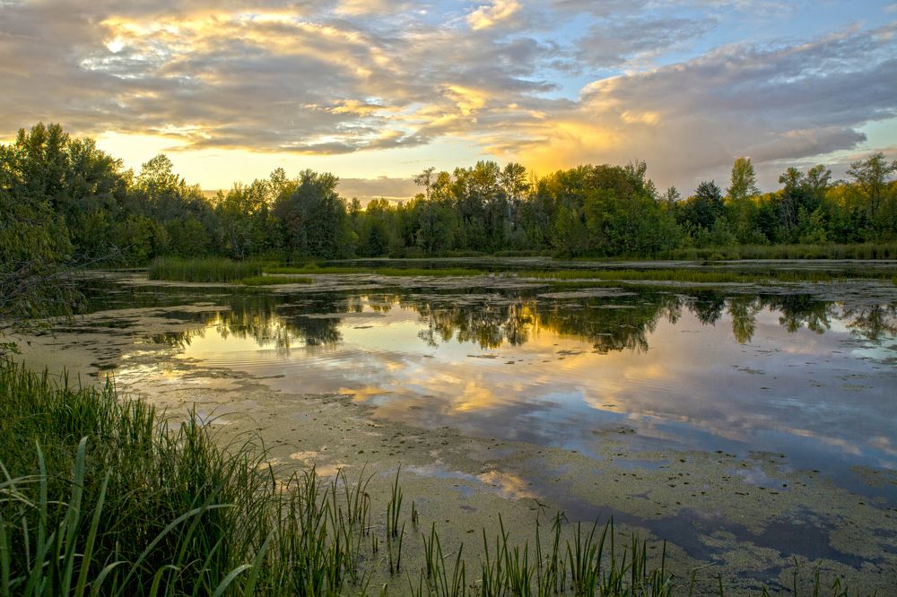 Photograph by Валерий Богачев
