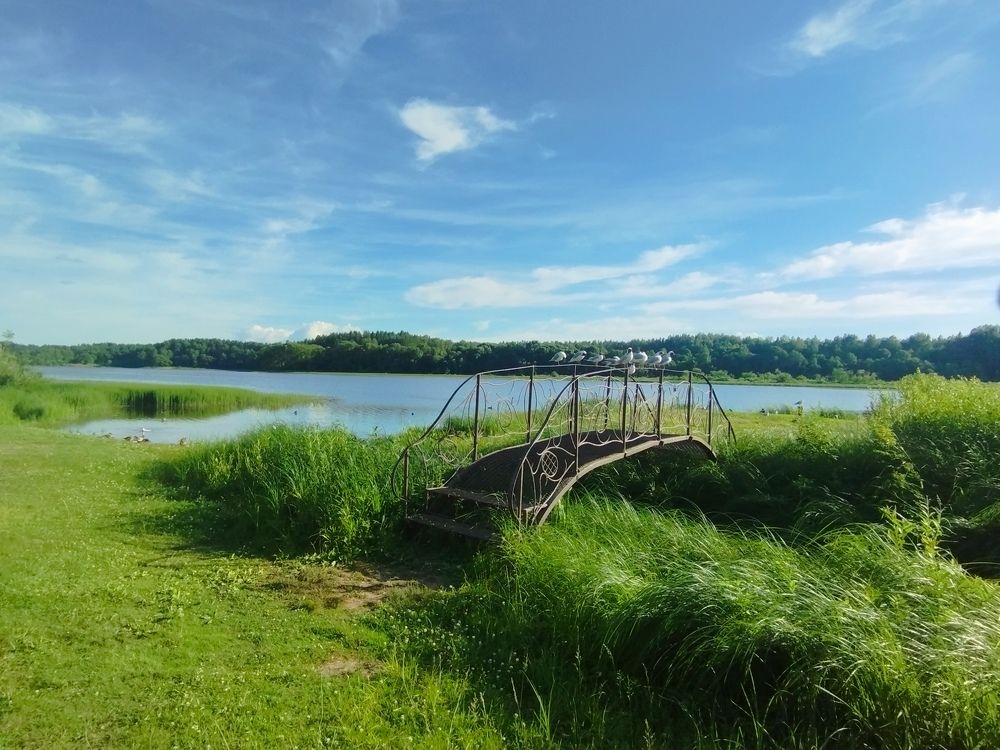 Photograph by Ольга Антохина