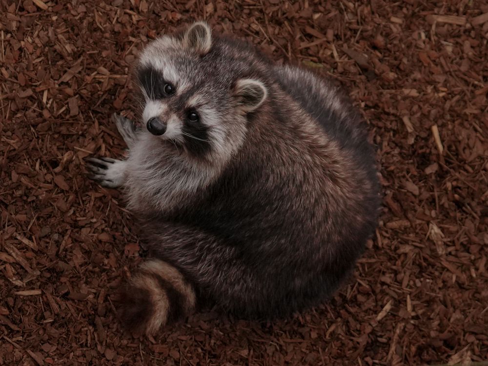 Photograph by Anya Lo