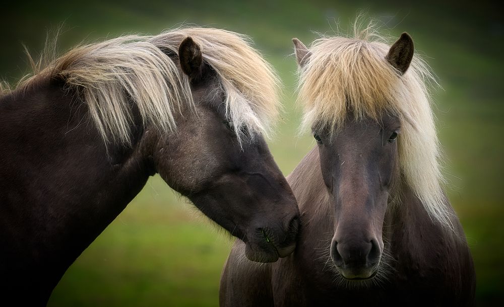 Photograph by Boris Bekelman