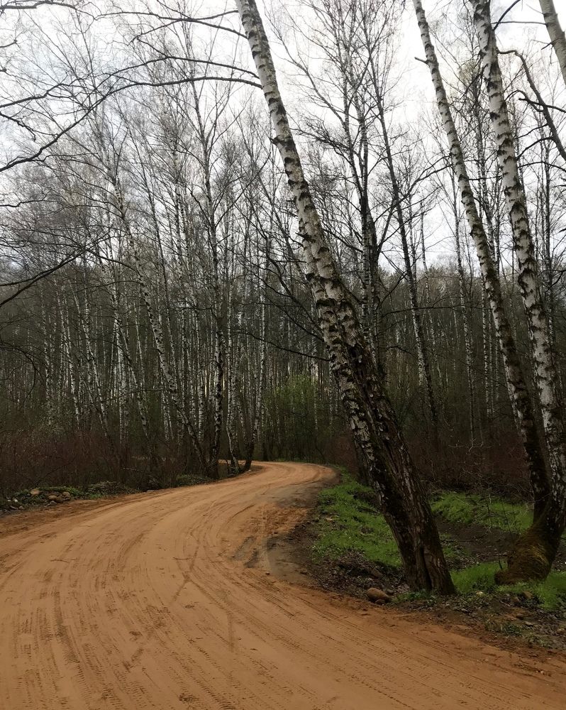 Photograph by Наталья Ермакова